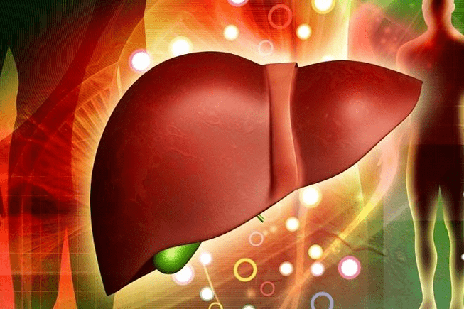 the effect of the drug on the effect on the liver