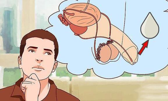 discharged in men when excited