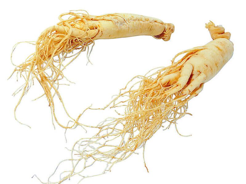 Ginseng roots have the effect of increasing vitality